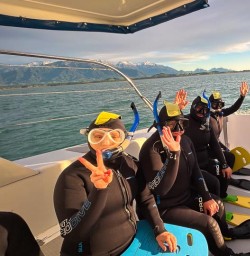 Dolphin Swim in Kaikoura Queen Charlotte Sounds2