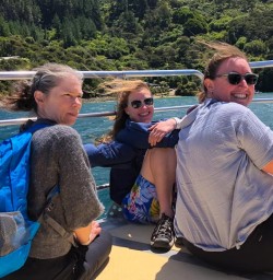Dolphins Kaikoura Queen Charlotte Sounds 09 December 2024 4