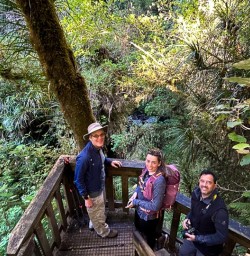 Egmont National Park lookout