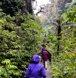 Explore Egmont National Park