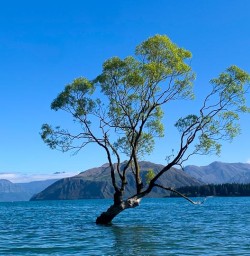 Explore Wanaka Park 25 November 2024 8
