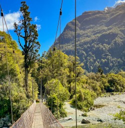 5 Explore the wilderness on the Hollyford2