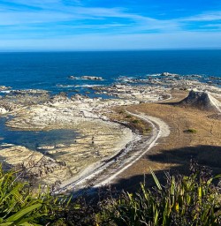 Exploring Godley Heads with New Zealand Trails