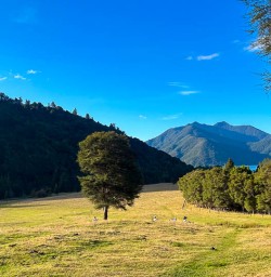 Exploring the Nydia Track with New Zealand Trails 