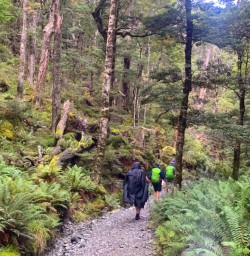 5 Group Walking Through Routeburn Track Forest2