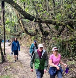 Guests exploring Whanganui River National Park