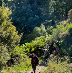 Guests hiking Egmont National Park