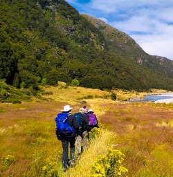 Guided Hiking Tours
