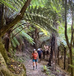 Hike the Nydia Track 02 December 24 4