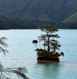Hike the Nydia Track to Nydia Lodge 18 November 2024 11