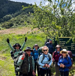 Hike the Nydia Track to Nydia Lodge 18 November 2024 3