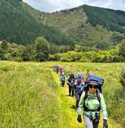 Hike the Nydia Track to Nydia Lodge 18 November 2024 4