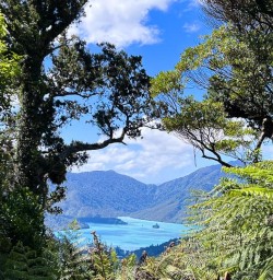 Hike the Nydia Track to Nydia Lodge 18 November 2024 7