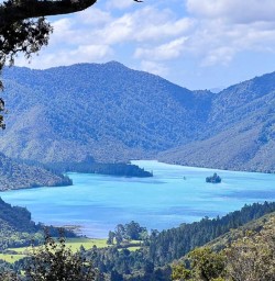 Hike the Nydia Track to Nydia Lodge 18 November 2024 8