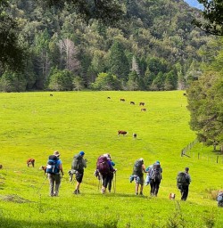 Hike the Nydia Track to Nydia Lodge 18 November 2024 9