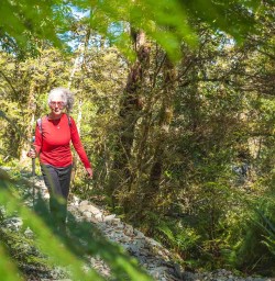 Hiking adventure tours in New Zealand 