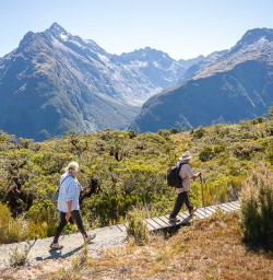 Hiking tours to New Zealands Key Summit 