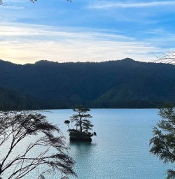 Hiking tours to the Nydia Track 