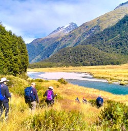 Hiking tours with New Zealand Trails