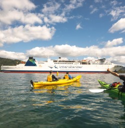 5 Interislander kayak views2