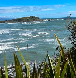 Kaikoura Peninsula Walkway luxury hiking tours 