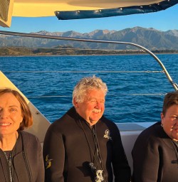 Kaikoura adventure boat tours