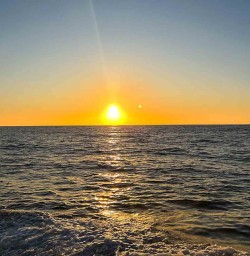 Kaikoura boat tour