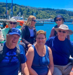 Kaikoura dolphin swim tours