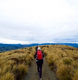 Luxury hiking tours with New Zealand Trails