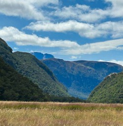 Milford Sound Valley