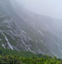 Milford Track Walking tours