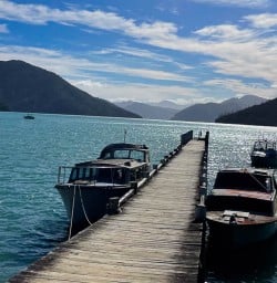 Nelson Lakes National Park 
