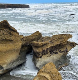New Zealand's West Coast