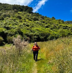 Nydia Track to Nydia Lodge 16 December 2024 7