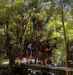 Nydia Track to Nydia Lodge 18 November 2024 1