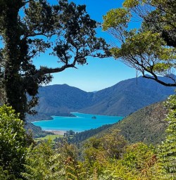 Nydia Track to Nydia Lodge 18 November 2024 3
