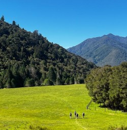 Nydia Track to Nydia Lodge 18 November 2024 5