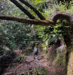 Nydia Track to Nydia Lodge 18 November 2024 7
