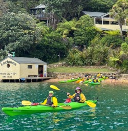 Queen Charlotte Sounds 25 November 2024 