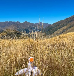 Rocky Mountain Track hiking adventures 