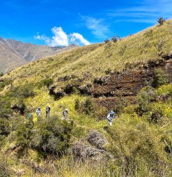 Rocky Mountain Track with New Zealand Trails