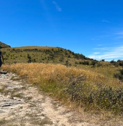 Rocky Mountain and diamond lake track guided tour 