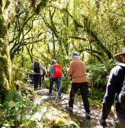 Routeburn Track in New Zealand
