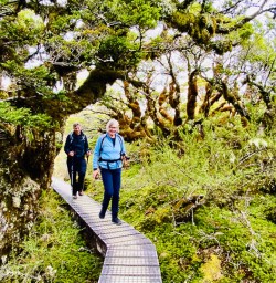 Routeburn Track with New Zealand 