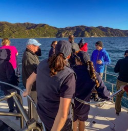 5 Spotting dolphins