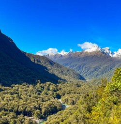 5 White peaks and blue skies on Hollyford2