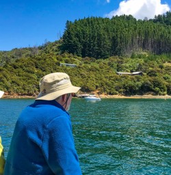 Arriving at Lochmara Lodge