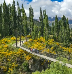 Arrow River Cycle trail bridge