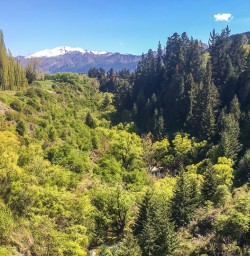 Arrow river, Otago New Zealand