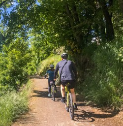 Biking the Queenstown trail, Otago New Zealand